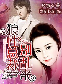 《狼性总裁,别乱来》