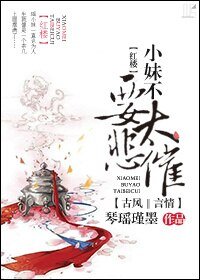 （BG/红楼同人）小妹不要太悲催