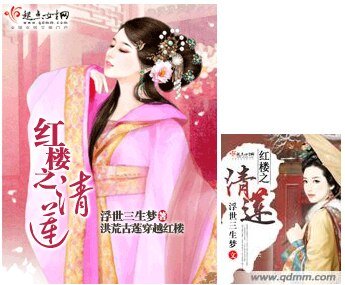 （BG/红楼同人）红楼之清莲