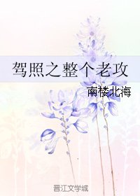 驾照之整个老攻
