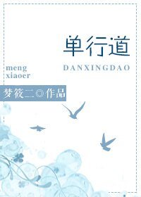 单行道/单行道，逆行爱