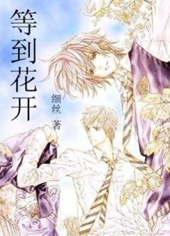 《等到花开》