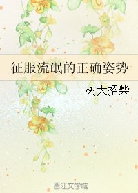 《征服流氓的正确姿势/我的那朵花儿》