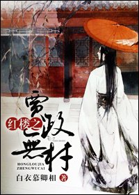 （BL/红楼同人）红楼之贾政无材